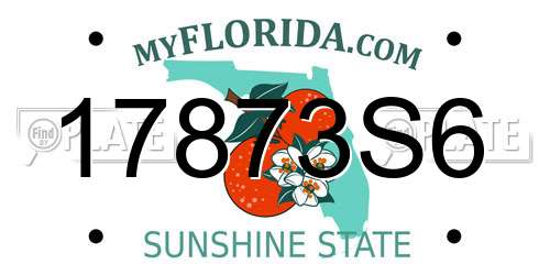17873S6 Florida License Plate