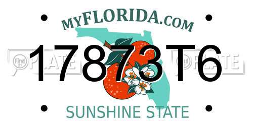 17873T6 Florida License Plate