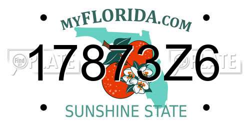 17873Z6 Florida License Plate