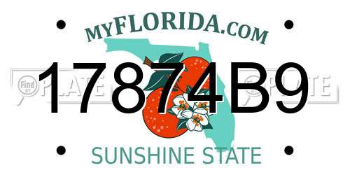 17874B9 Florida License Plate