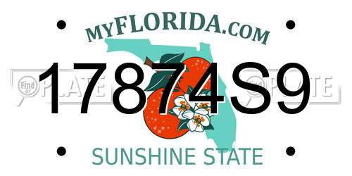 17874S9 Florida License Plate
