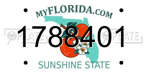 1788401 Florida License Plate