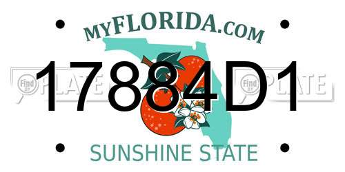 17884D1 Florida License Plate