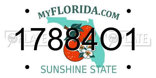 17884O1 Florida License Plate