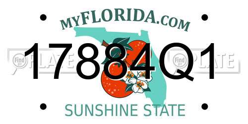 17884Q1 Florida License Plate
