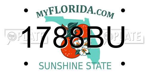1788BU Florida License Plate