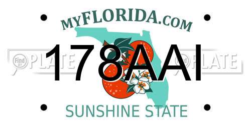 178AAI Florida License Plate