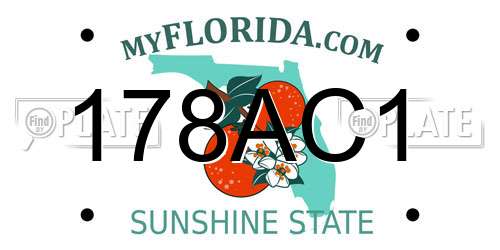 178AC1 Florida License Plate