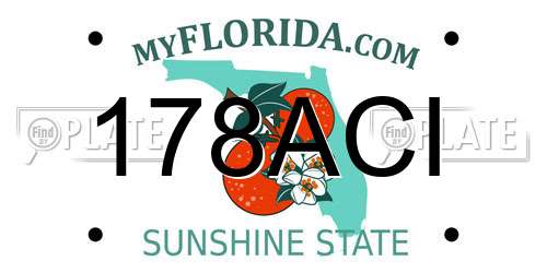 178ACI Florida License Plate