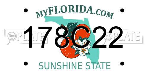 178C22 Florida License Plate