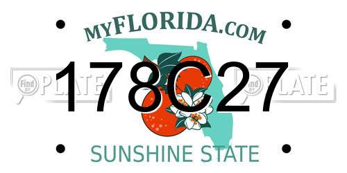 178C27 Florida License Plate