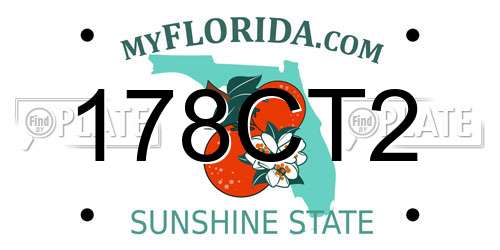 178CT2 Florida License Plate
