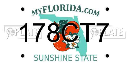 178CT7 Florida License Plate