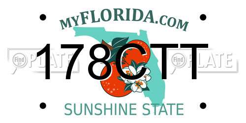 178CTT Florida License Plate