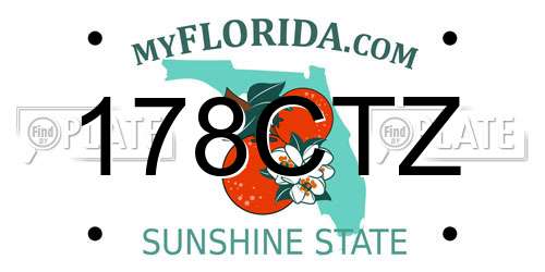 178CTZ Florida License Plate