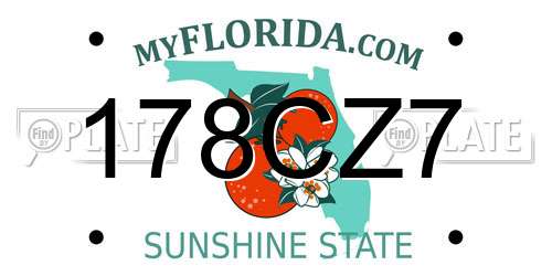 178CZ7 Florida License Plate