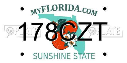 178CZT Florida License Plate