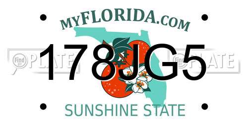 178JG5 Florida License Plate