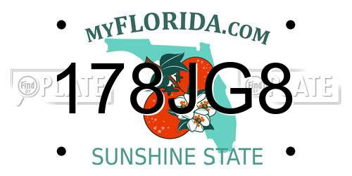 178JG8 Florida License Plate