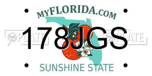 178JGS Florida License Plate