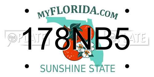 178NB5 Florida License Plate