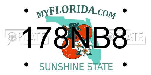 178NB8 Florida License Plate