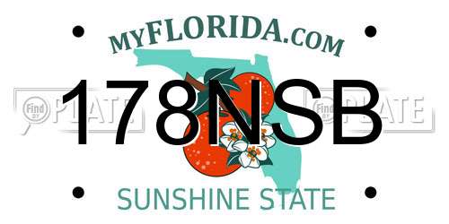 178NSB Florida License Plate