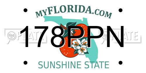178PPN Florida License Plate