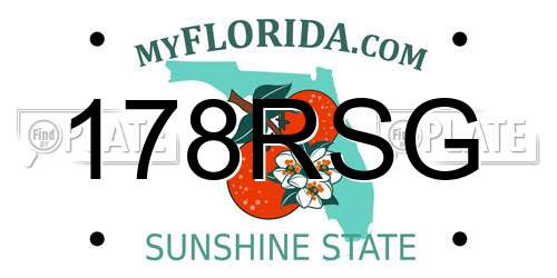 178RSG Florida License Plate