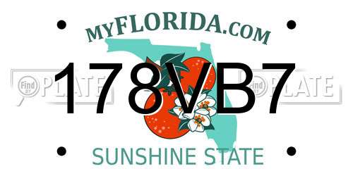 178VB7 Florida License Plate