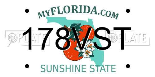 178VST Florida License Plate