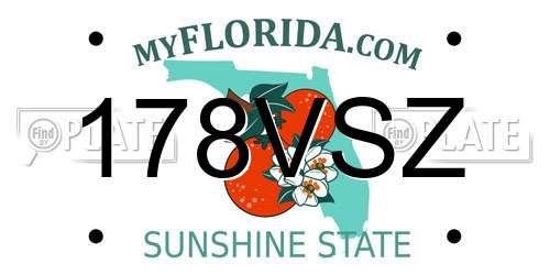 178VSZ Florida License Plate