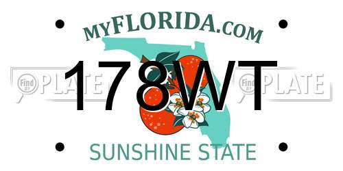 178WT Florida License Plate