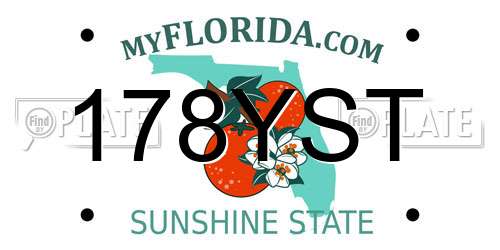 178YST Florida License Plate