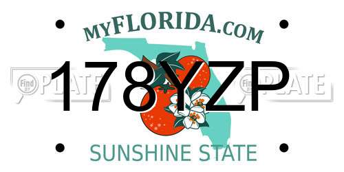 178YZP Florida License Plate