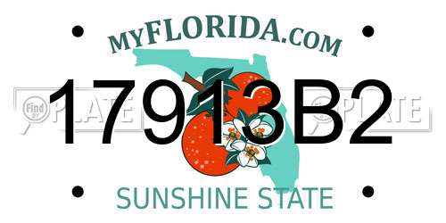 17913B2 Florida License Plate