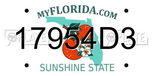 17954D3 Florida License Plate