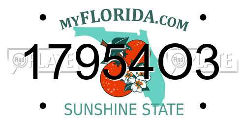17954O3 Florida License Plate