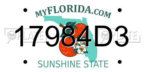 17984D3 Florida License Plate