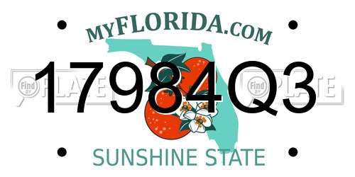 17984Q3 Florida License Plate