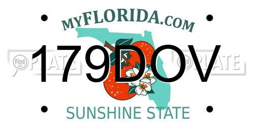 179DOV Florida License Plate