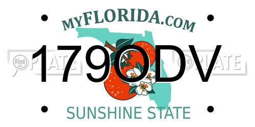 179ODV Florida License Plate