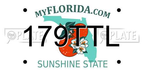 179TTL Florida License Plate