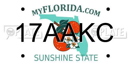 17AAKC Florida License Plate