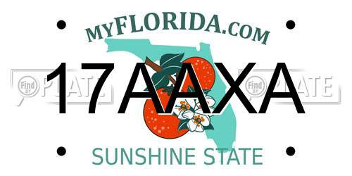17AAXA Florida License Plate