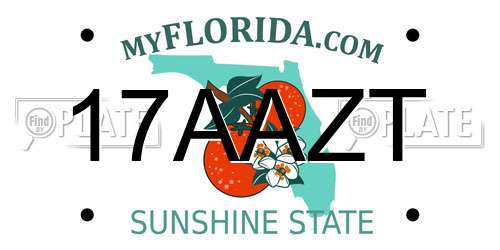 17AAZT Florida License Plate