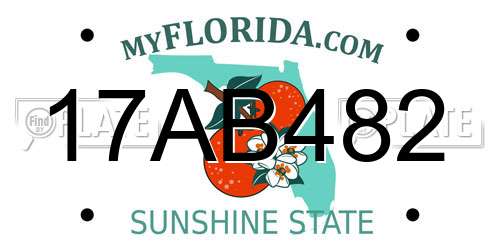 17AB482 Florida License Plate
