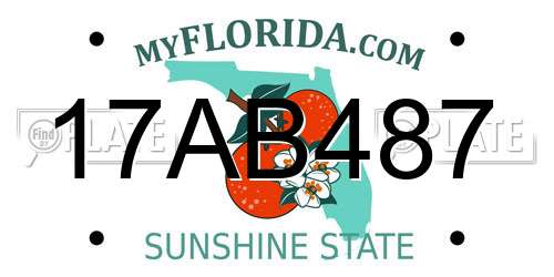 17AB487 Florida License Plate