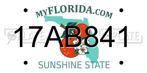 17AB841 Florida License Plate