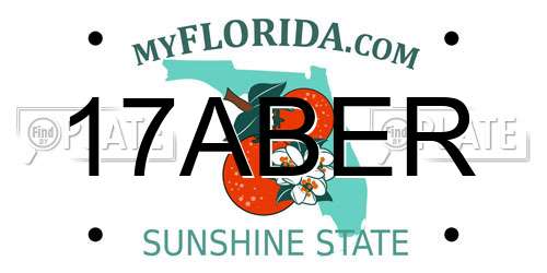 17ABER Florida License Plate